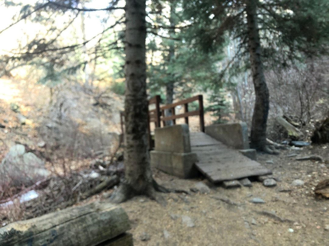Adams Canyon Trail景点图片