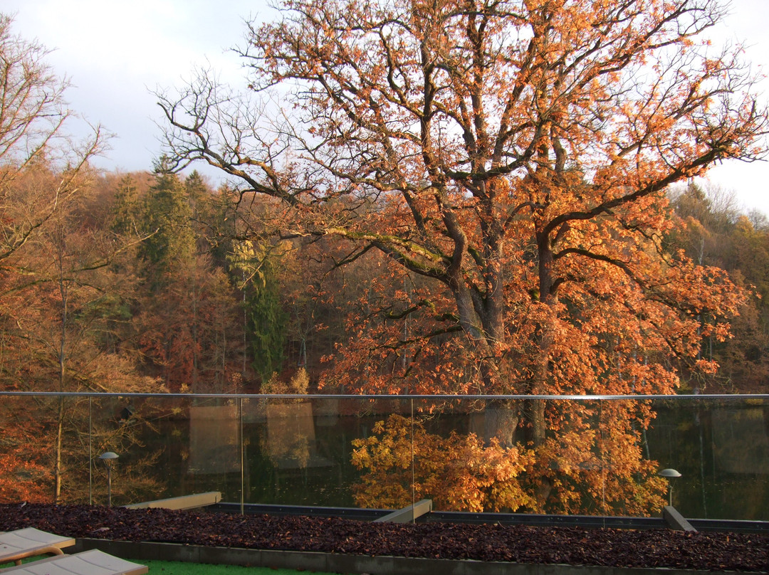 RoLigio® & Wellness Resort Romantischer Winkel主图