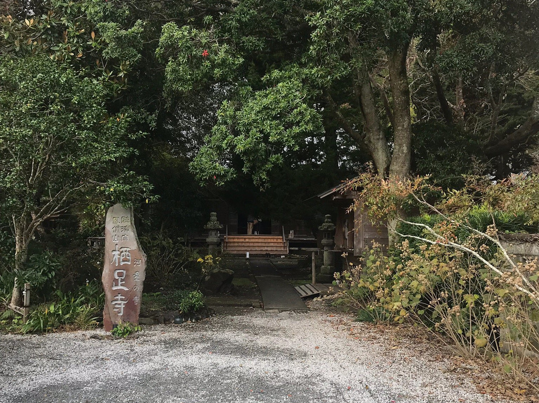 Izu Naranda no Sato Kawazu Heian Buddha Statue Pavilion景点图片