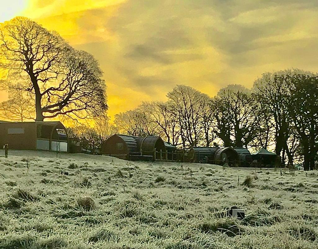 Hedgerow Luxury Glamping