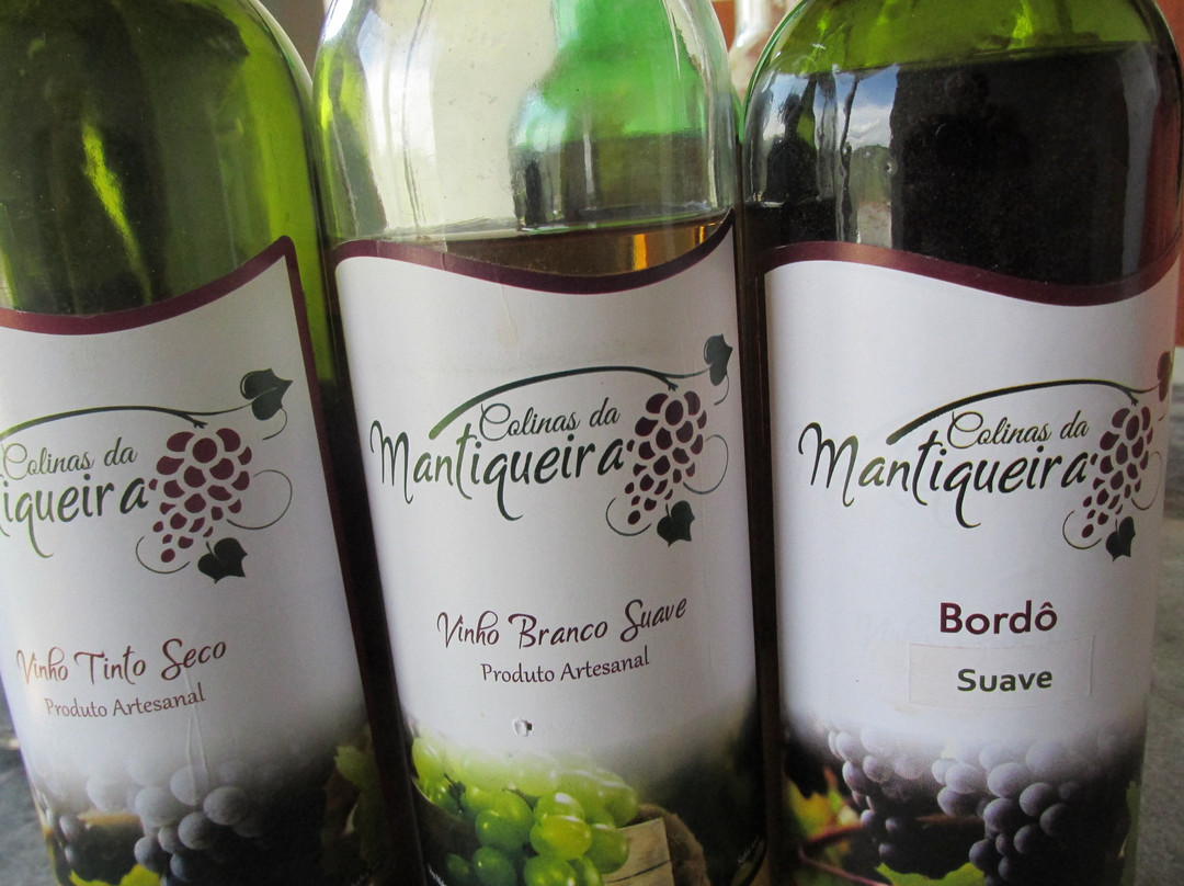 Vinhos Colinas da Mantiqueira-Bueno Brandao必去景点