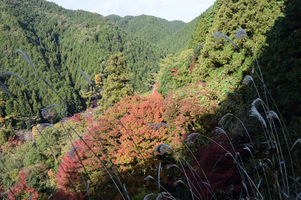 Kanegasaka Tunnel-丹波市必去景点