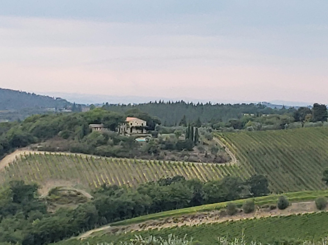 Podere Patrignone主图