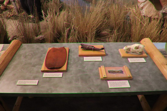 Rocky Mountain Elk Foundation-米苏拉必去景点