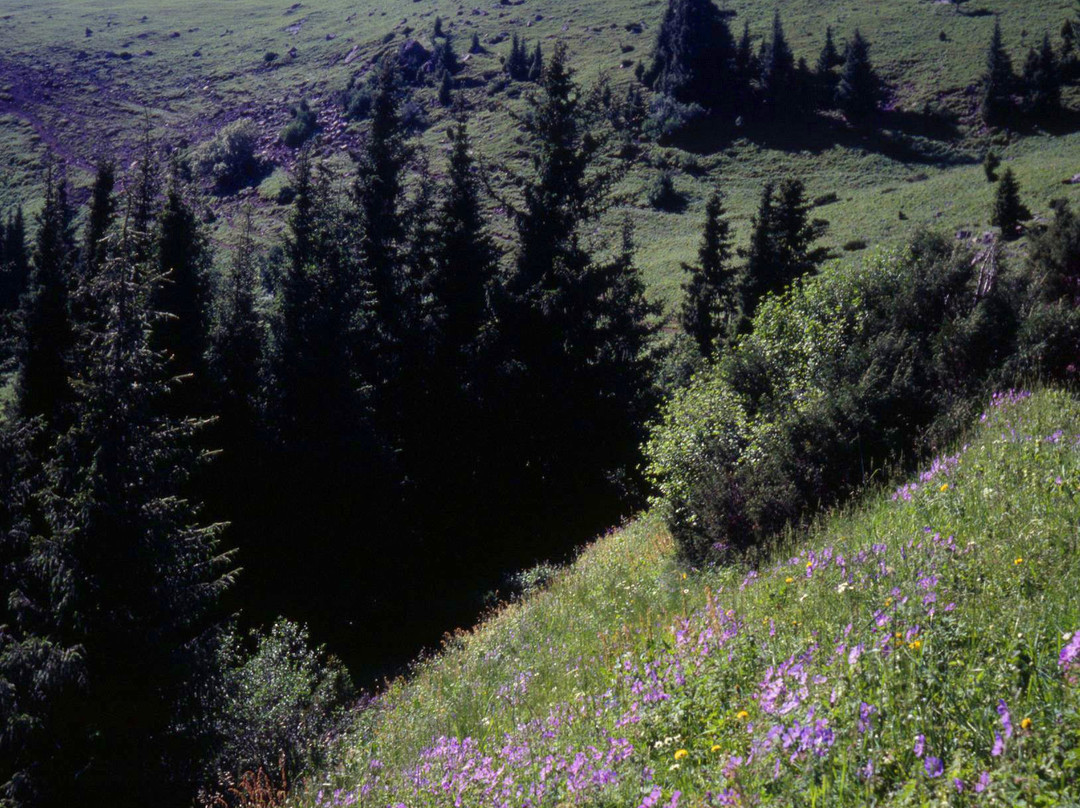 Turgenskoye Gorge-Turgen必去景点