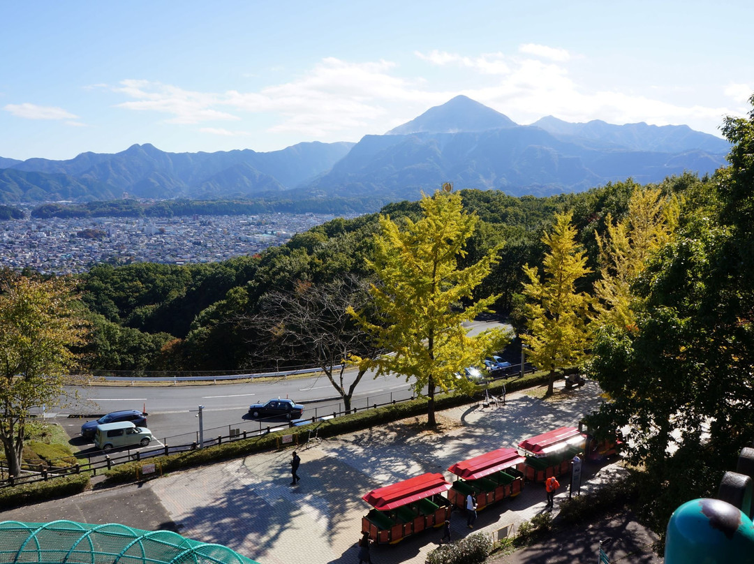 Chichibu Muse Park景点图片