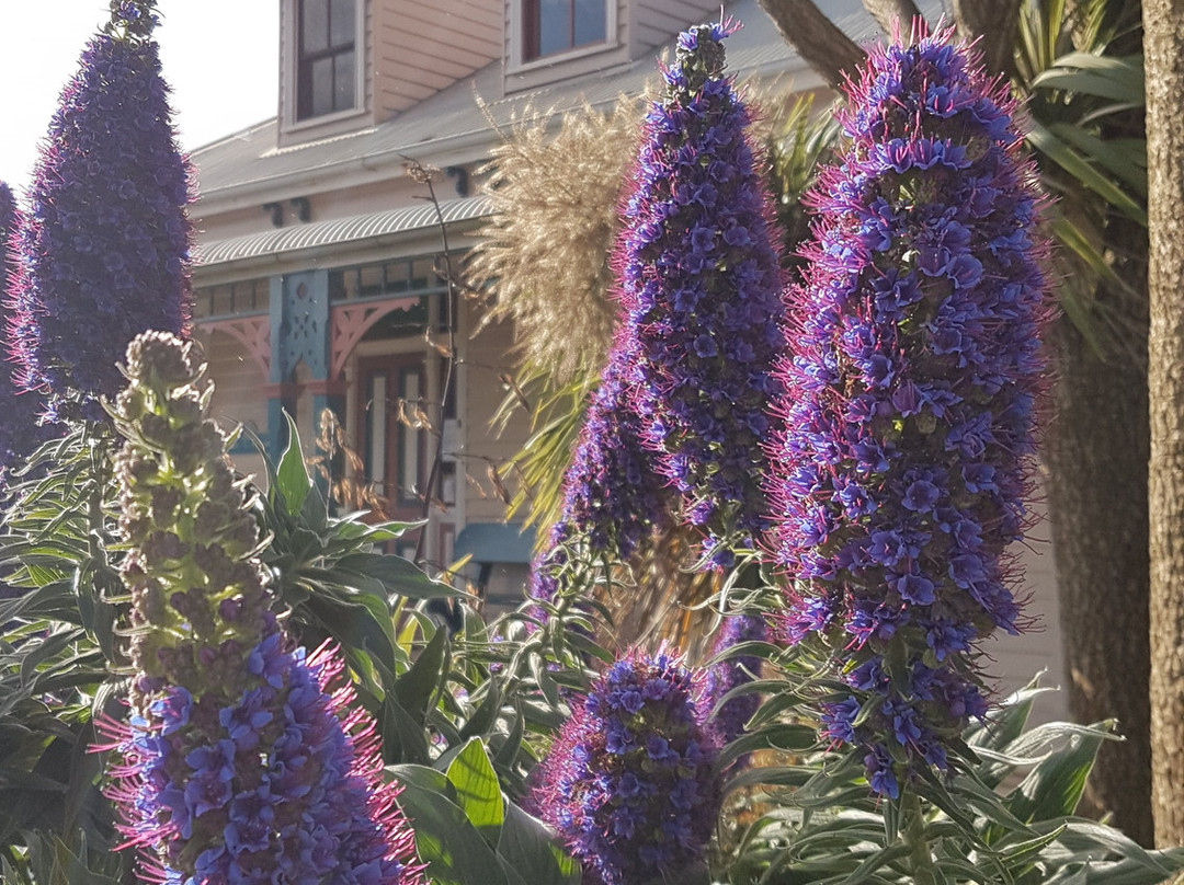 安隆楼床和早餐主图