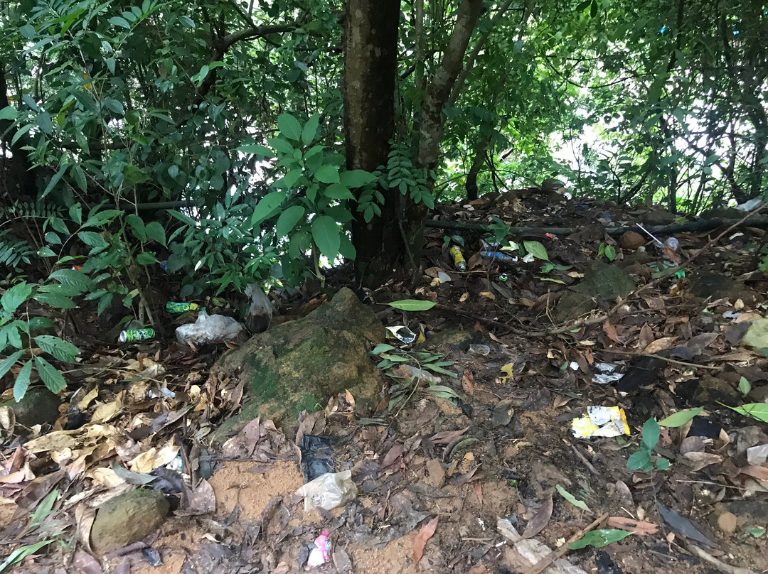 Elephant Springs-Loc Tien必去景点