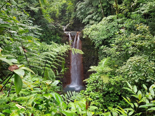 Eco Bromelias Lodge and Tours