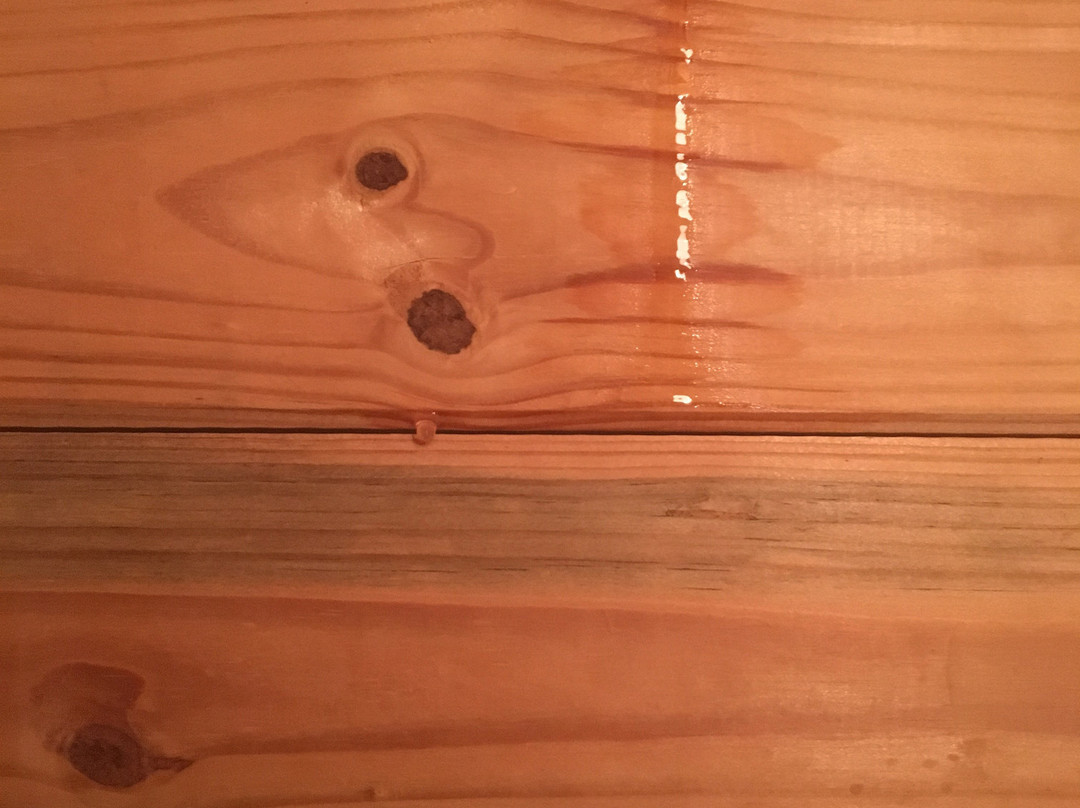 Hillsborough B&B主图