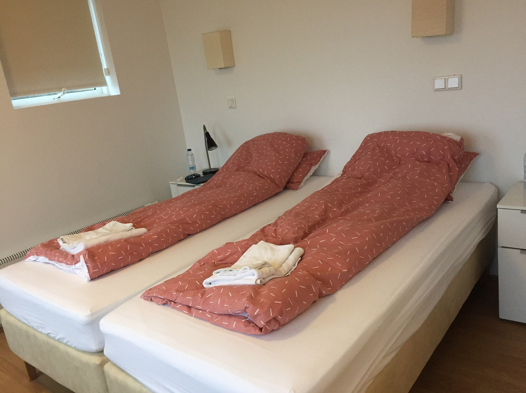 Brekka í Lóní Farm Stay主图