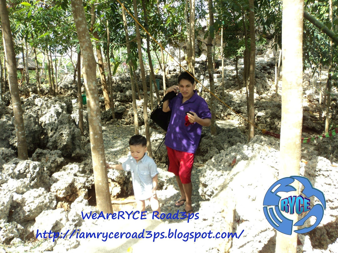 Enchanted Cave-博利诺必去景点