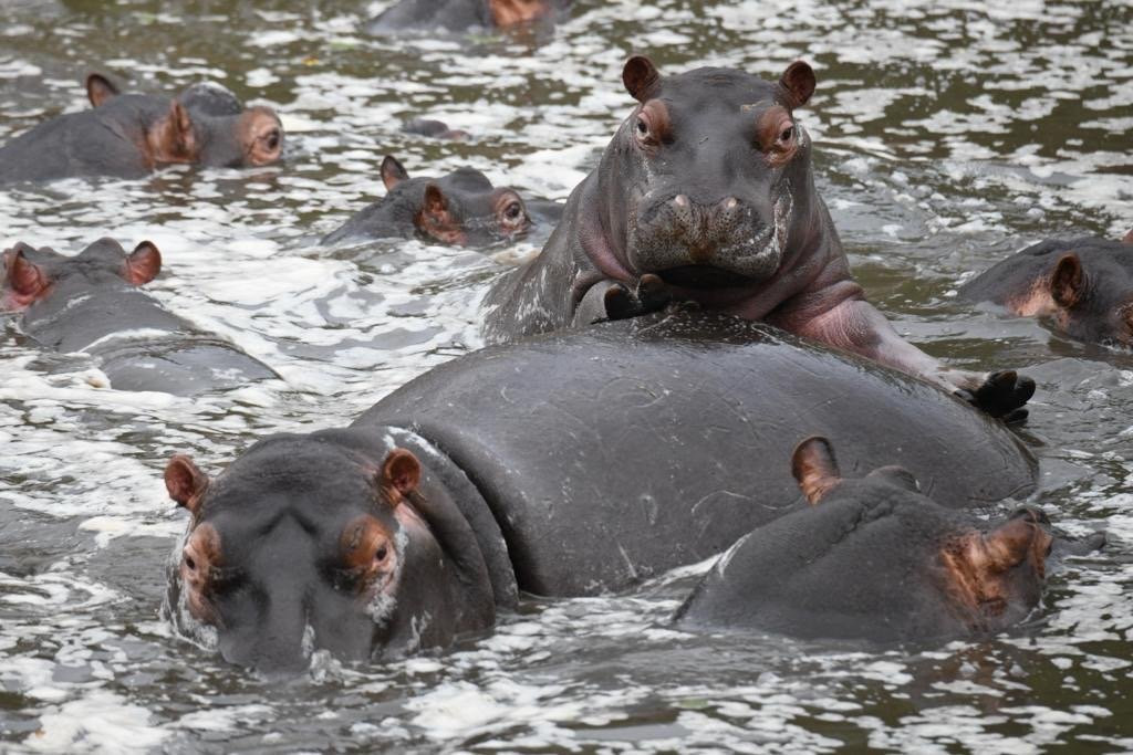 Africa Photographic Services-白河必去景点