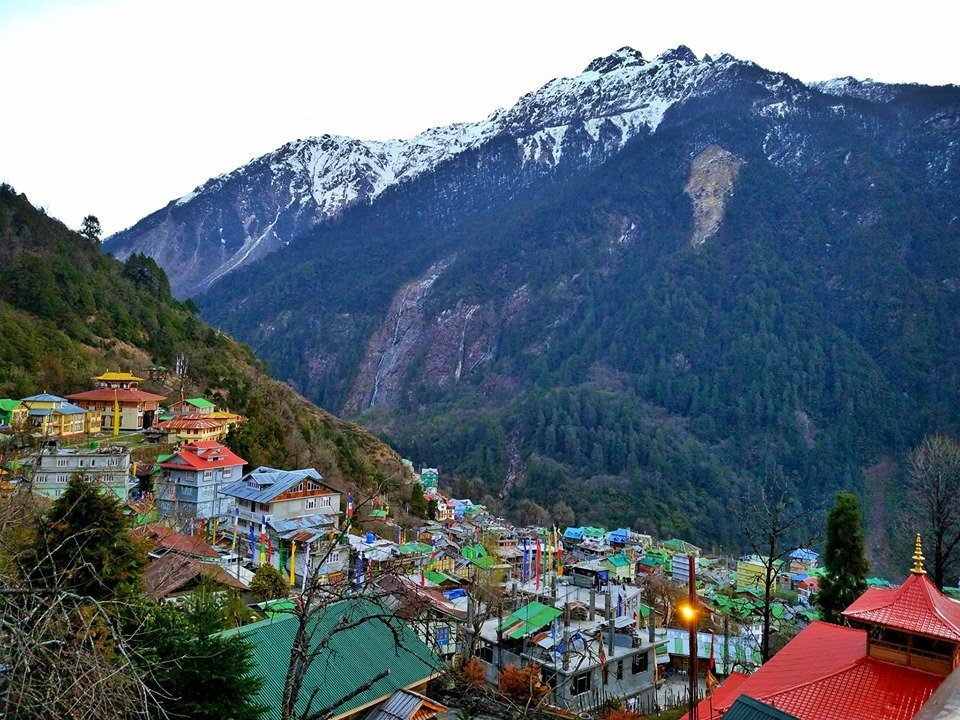 The Apple Orchard Resort主图