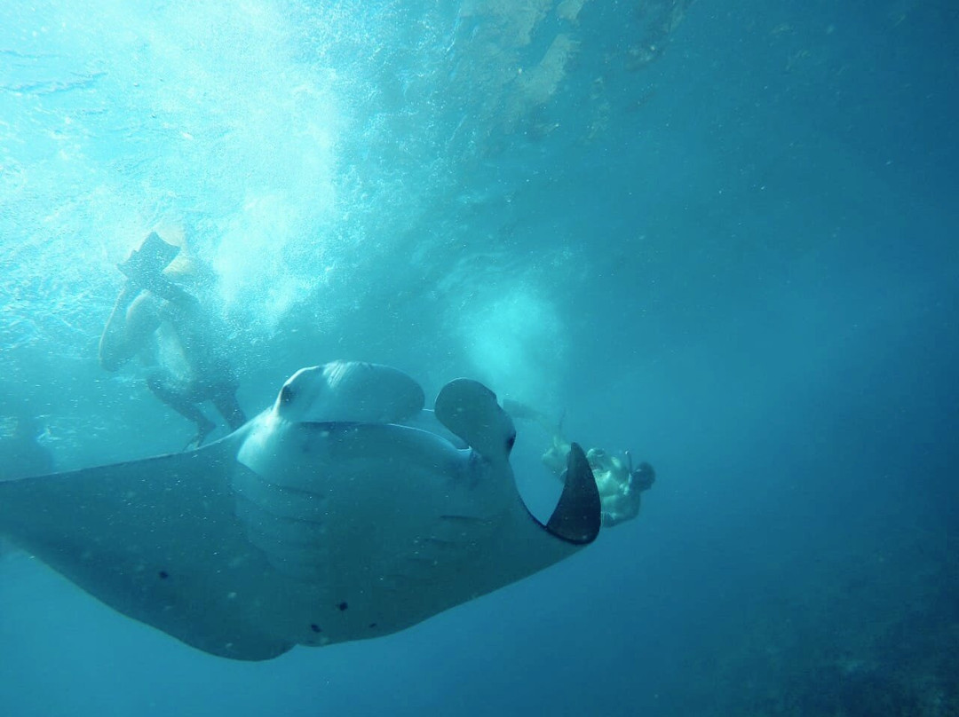蓝梦岛之旅-蓝梦岛必去景点