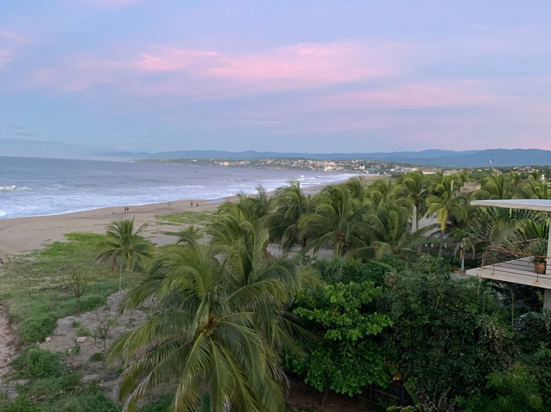 Punta Zicatela Hotel主图