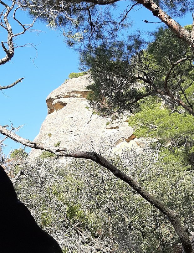 Les Grottes de Cales-Lamanon必去景点