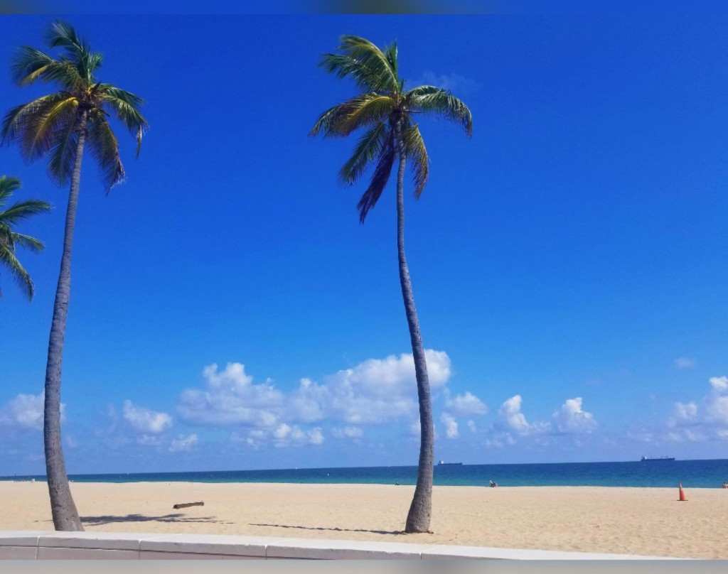 Fort Lauderdale Beach Park-劳德代尔堡必去景点