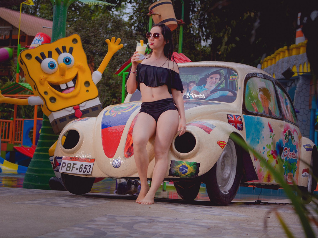 Hostería D'Carlos Aqua Park主图