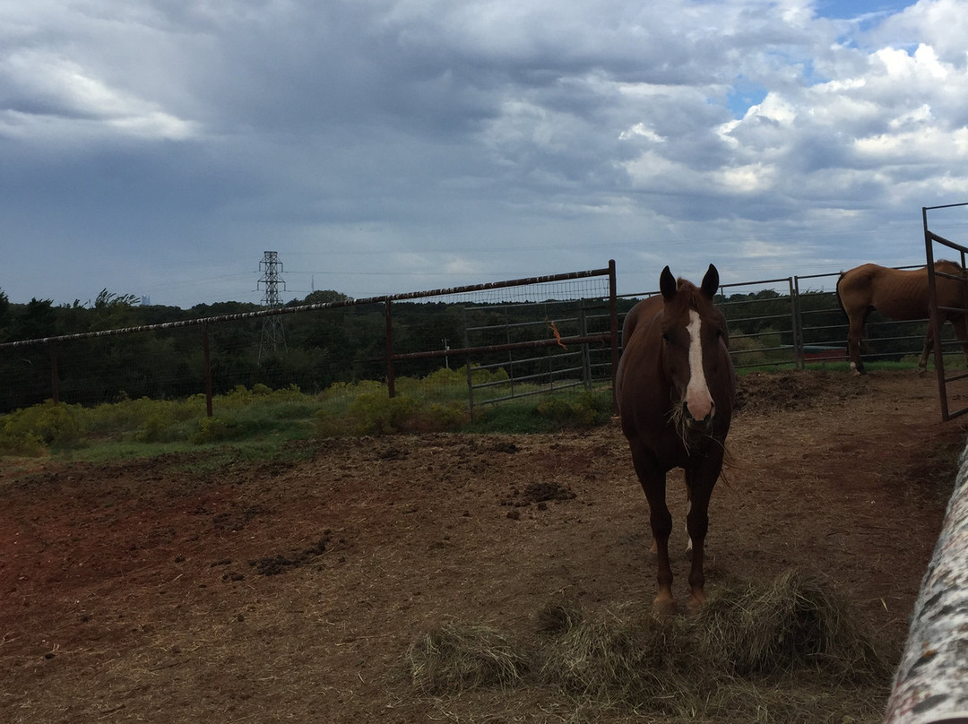 Rusty Gables Guest Lodge & Gallery主图