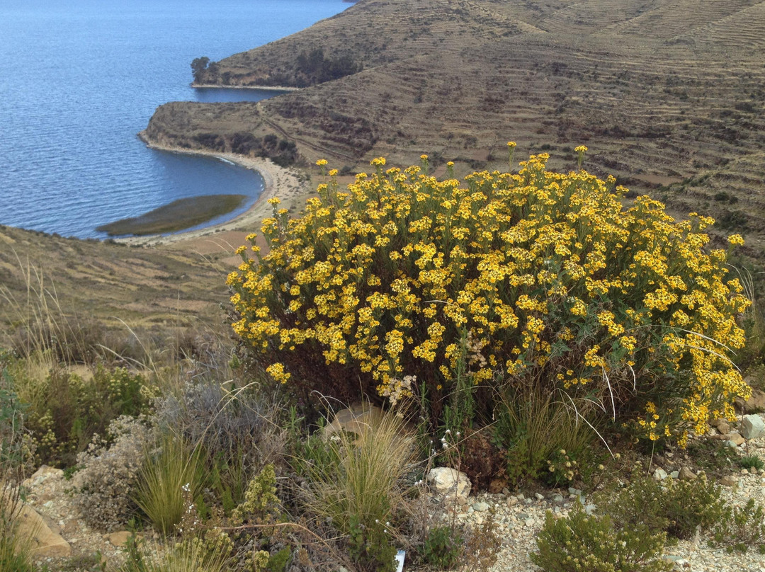 Yampu Tours-科帕卡巴纳必去景点