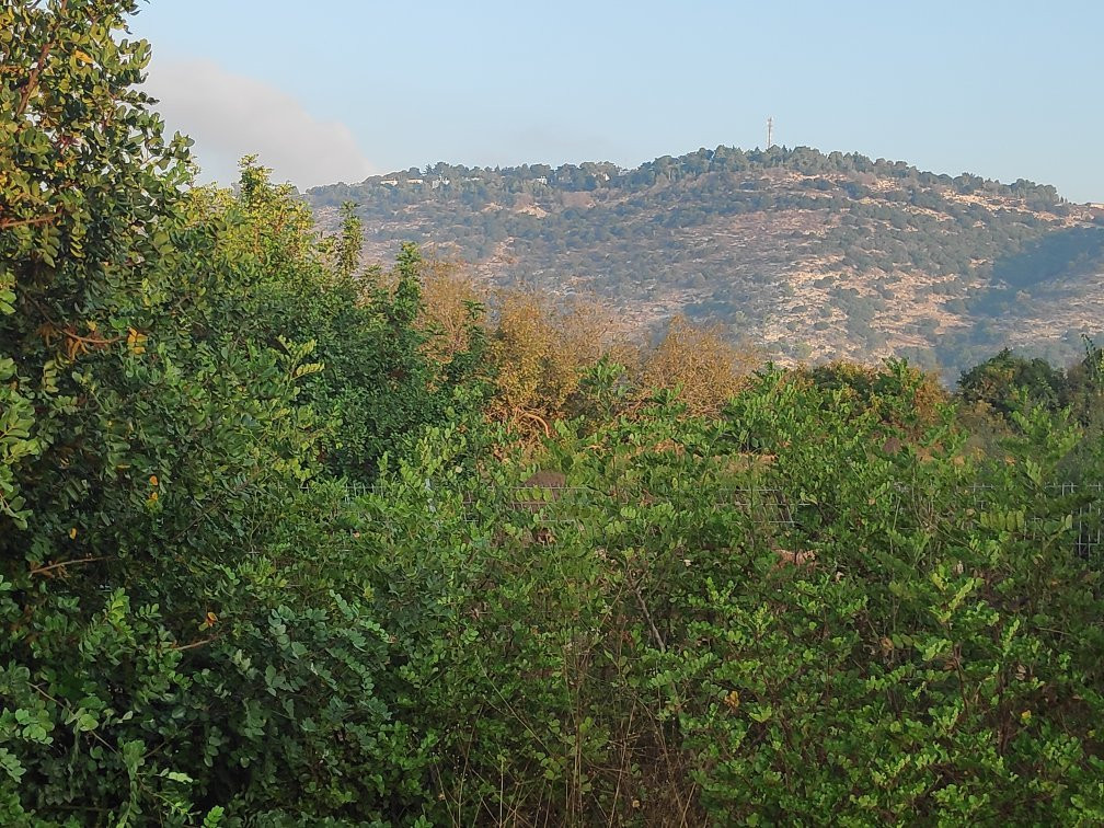 Eilon Hostel