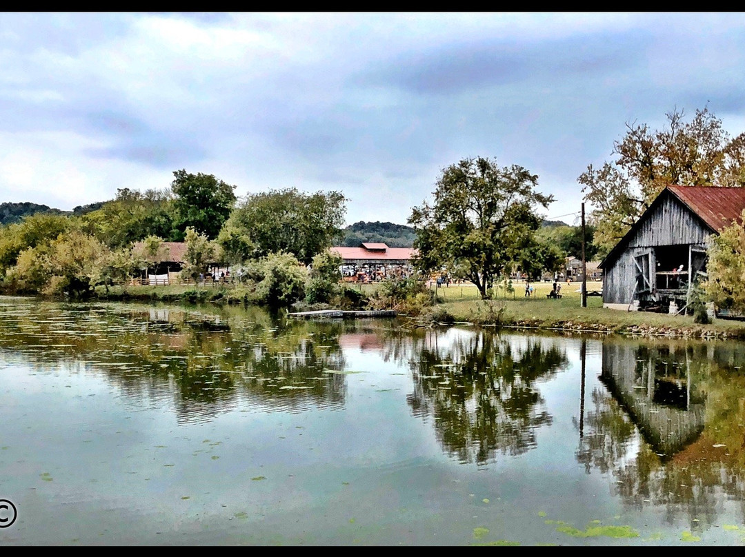 Gentry's Farm-富兰克林必去景点