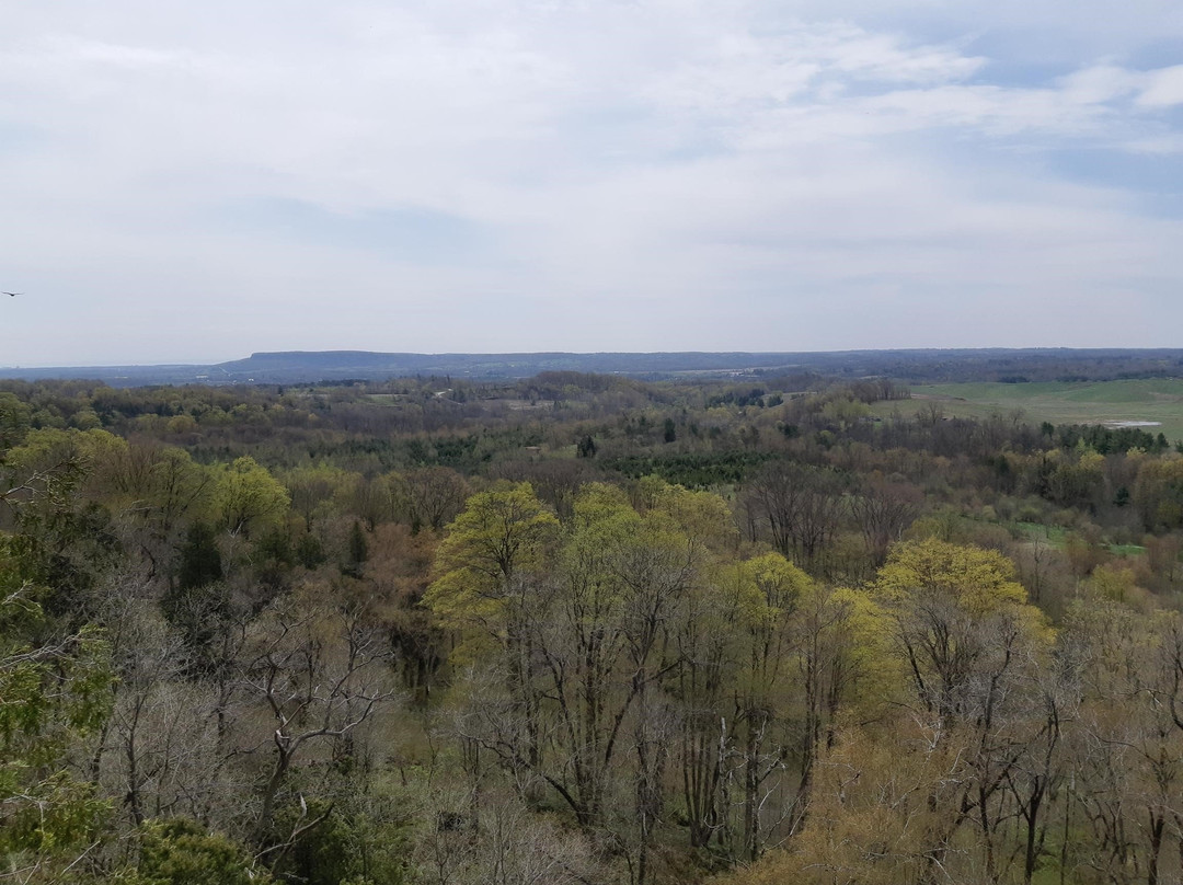Crawford Lake to Rattlesnake Point-Milton必去景点