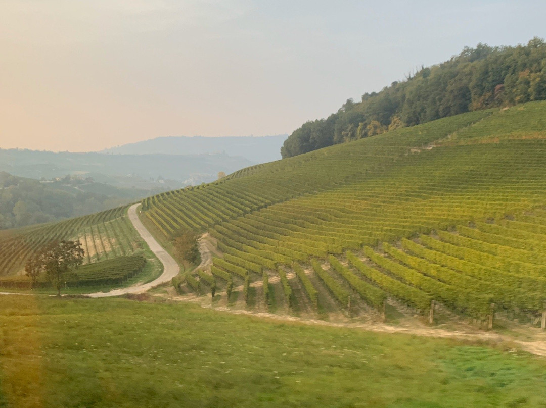 Piedmont Food and Wine-Vinchio必去景点