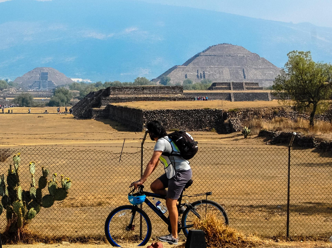 Pedalea Teotihuacan景点图片