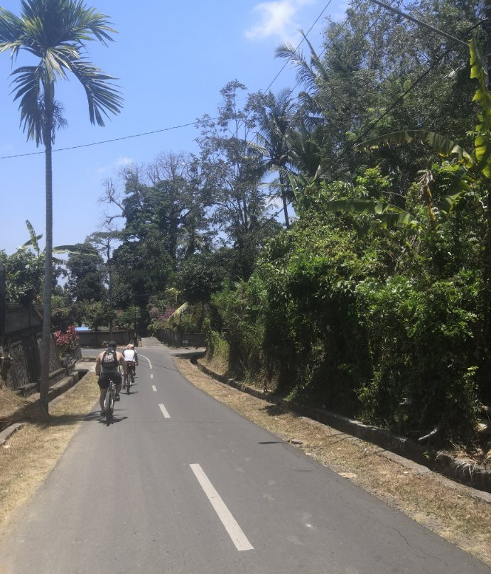 Bali 2000 Cycling - Day Tours景点图片