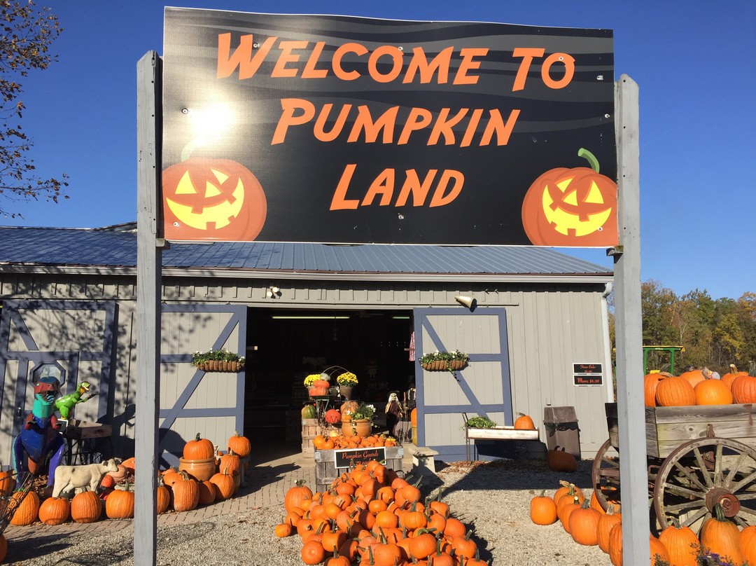 Windmill Farm Market