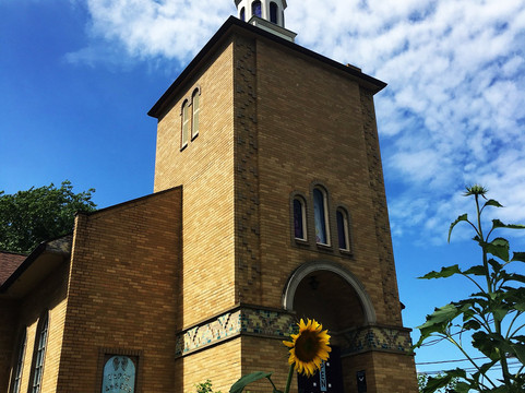 Earth Angels Holistic Health