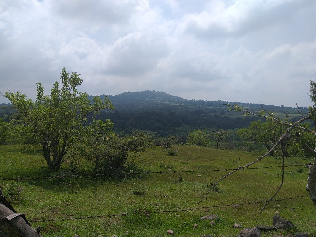 YecaBus景点图片