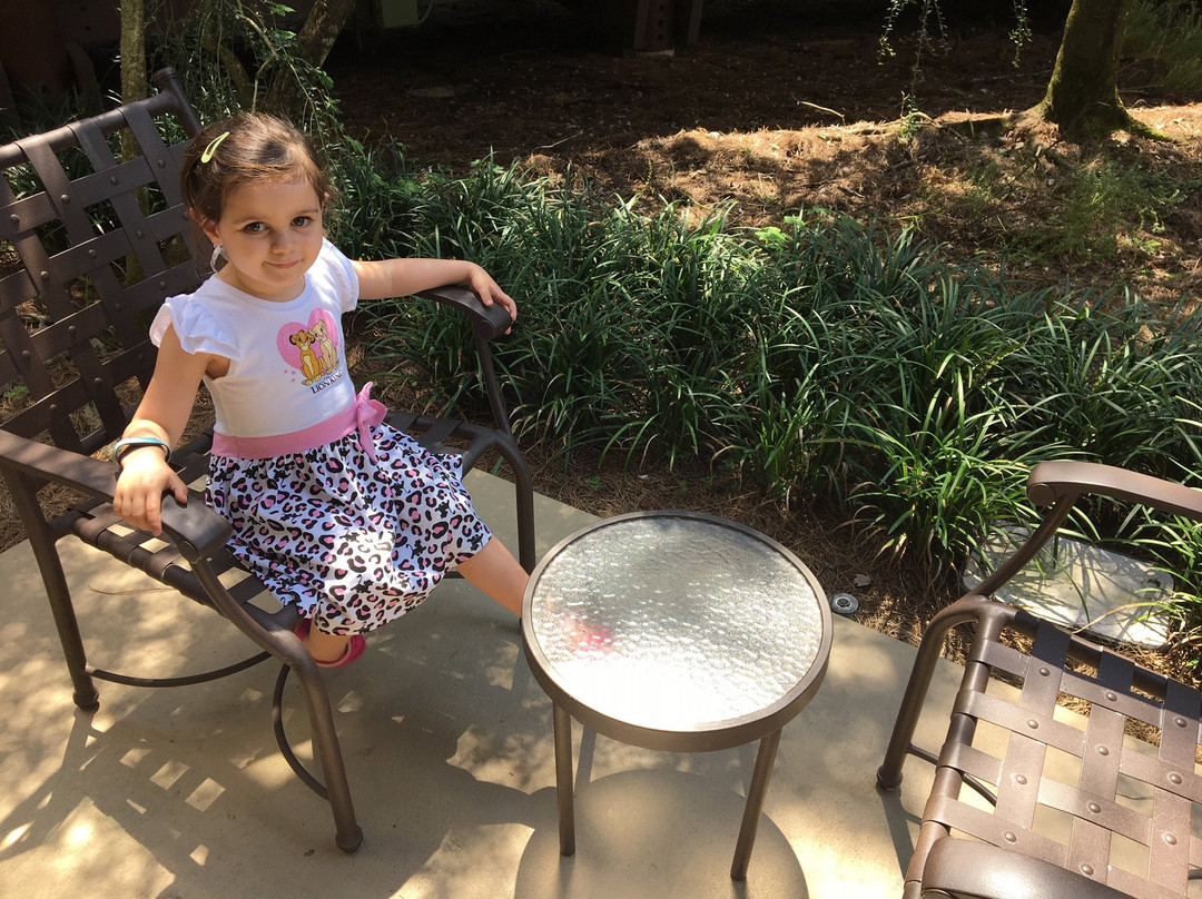 迪士尼怀尔德尼斯别墅旅馆主图