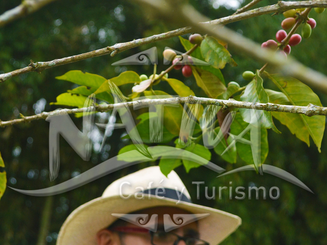 Nativa Cafe & Turismo-Filandia必去景点