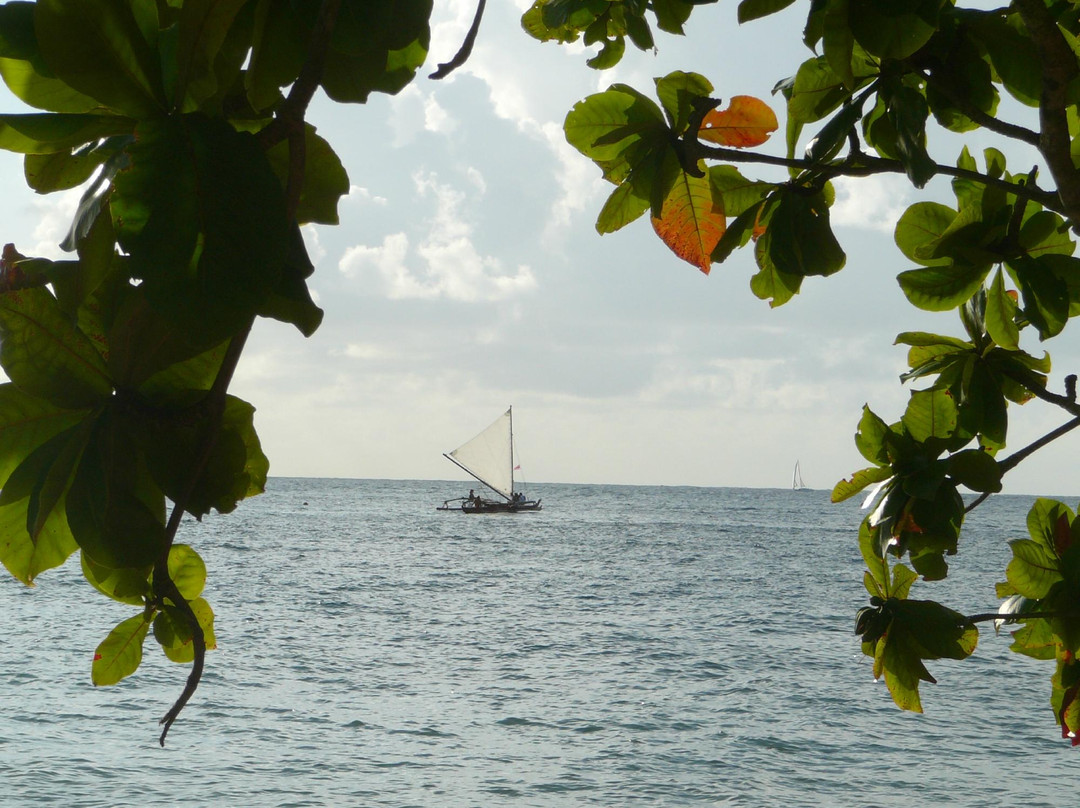 Island Sails Kaua'i景点图片