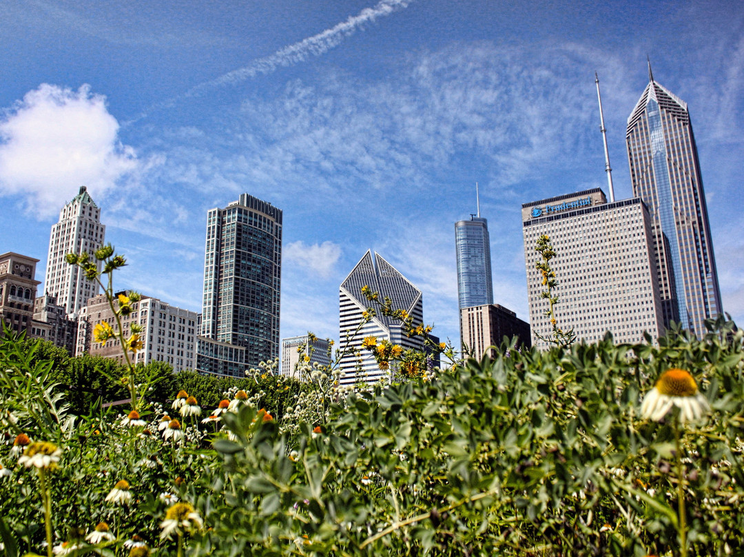 Lurie Garden景点图片