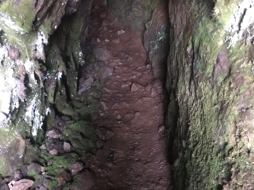 Levant, Botallack and the Crowns Trail-Pendeen必去景点