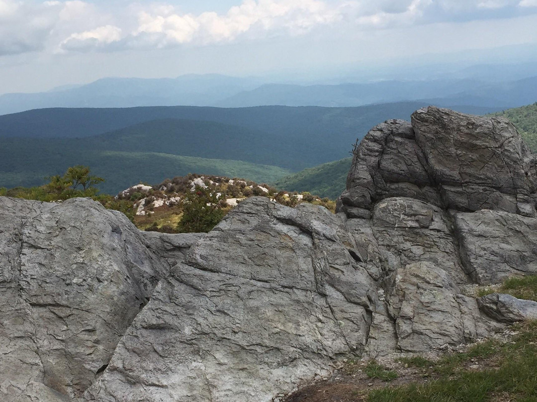 Grayson Highlands State Park景点图片