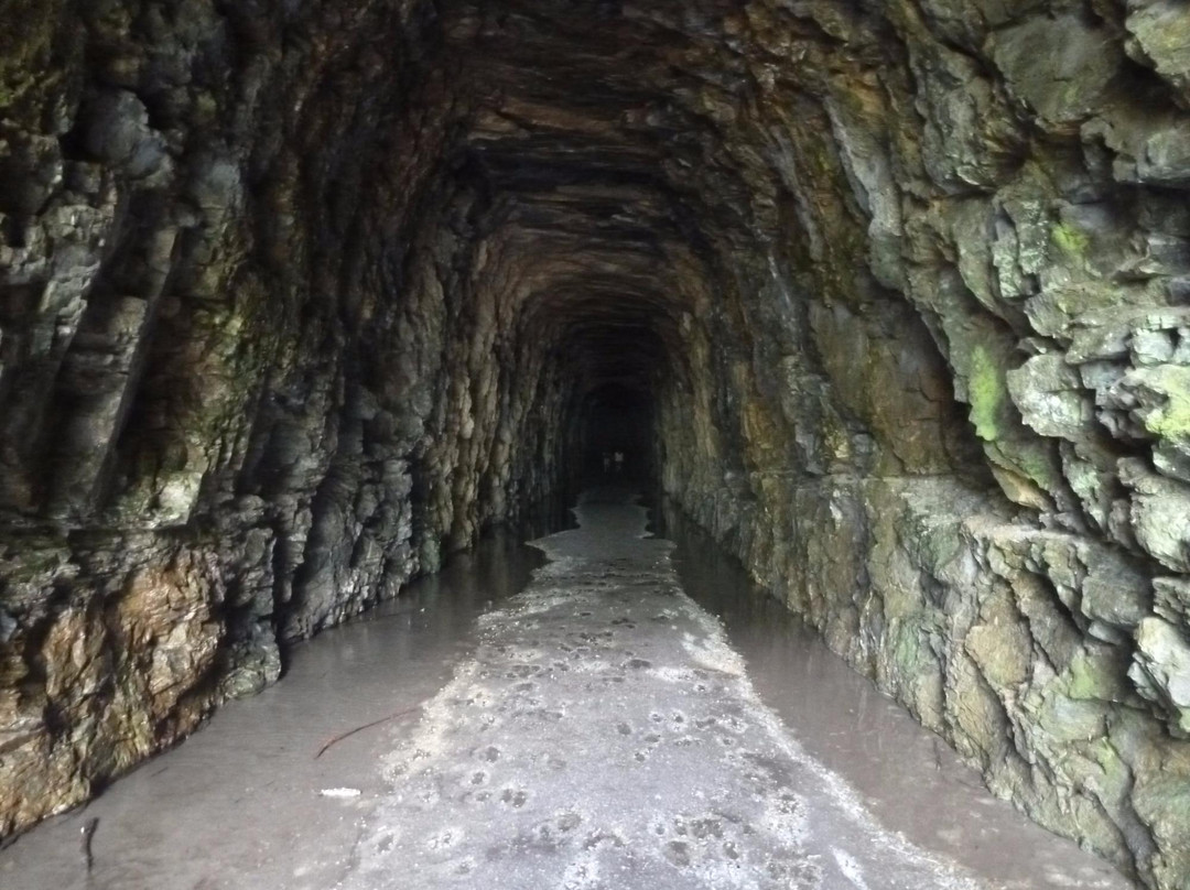 Stumphouse Mountain Tunnel景点图片