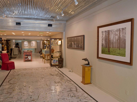 Picture This Gallery-希尔顿头岛必去景点