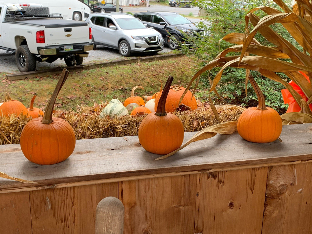 Alewine Pottery-盖林柏格必去景点