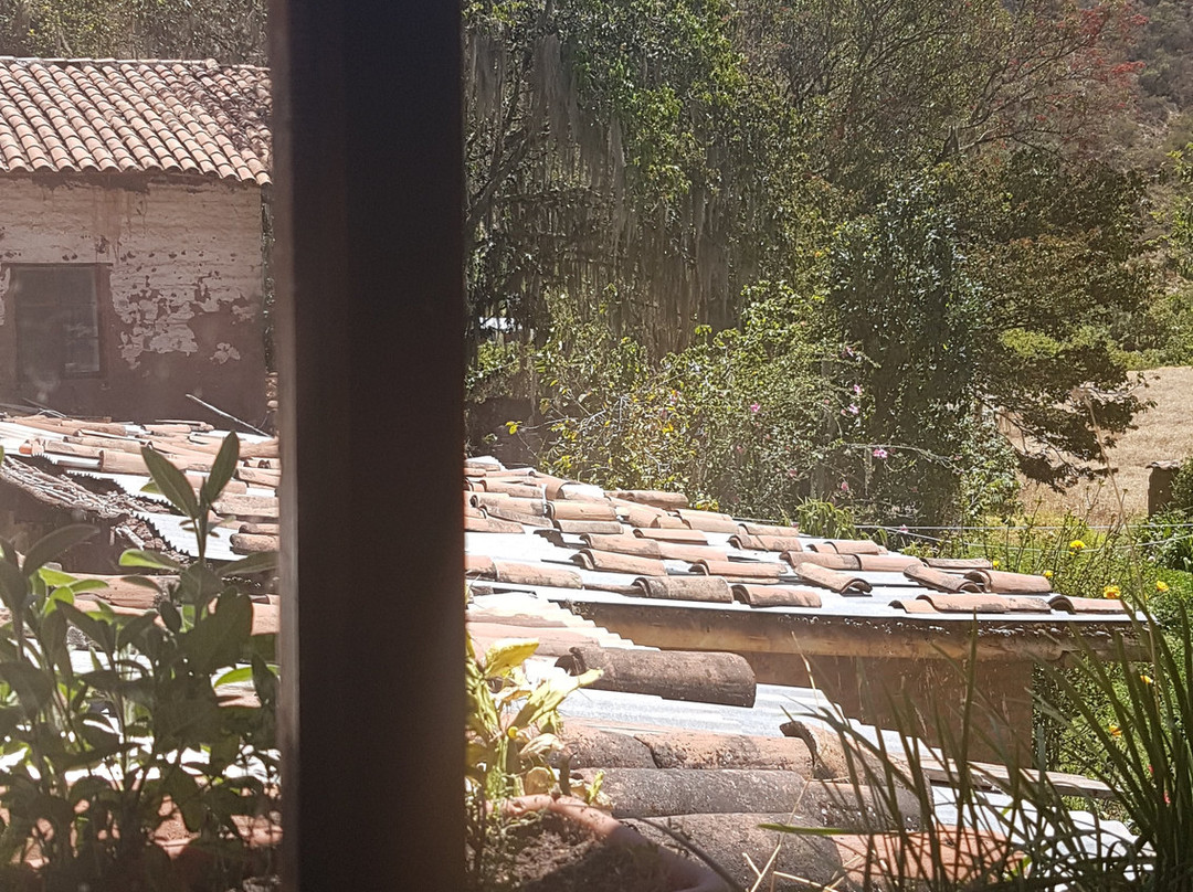 Hacienda Sondorf景点图片