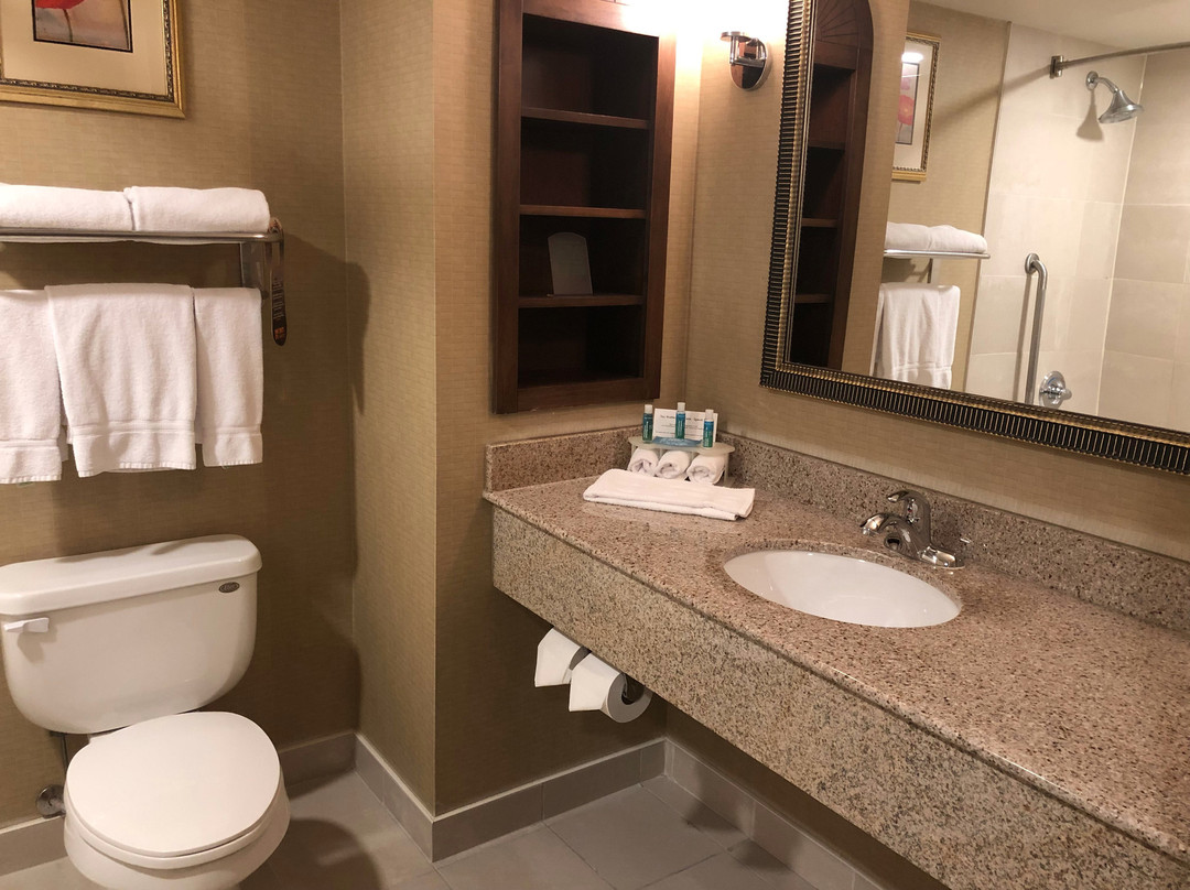 亨茨维尔智选假日套房酒店主图