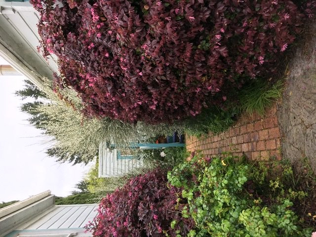 The Old Post Office Guest House主图