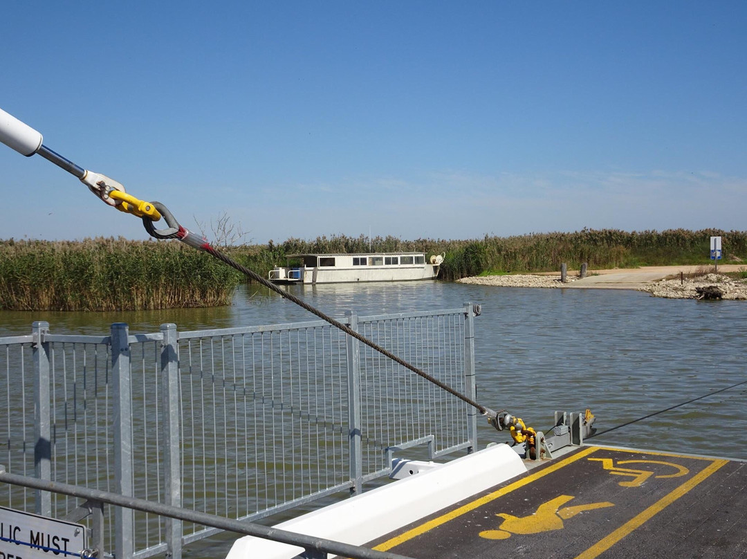Narrung Ferry-Narrung必去景点