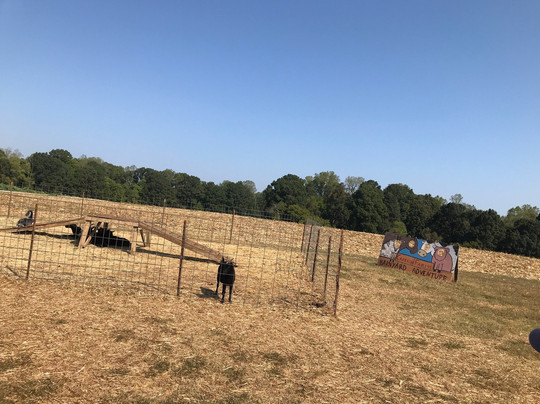 Carrigan Farms-穆尔斯维尔必去景点