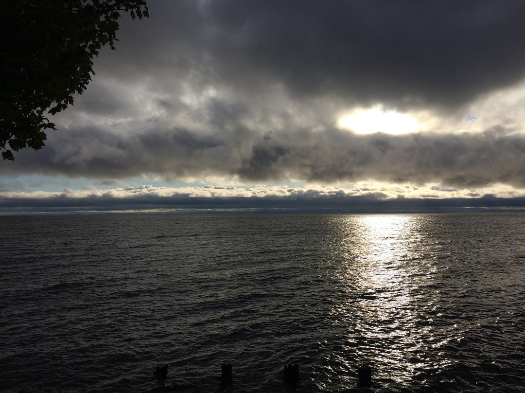 Freighters View on the Bay主图