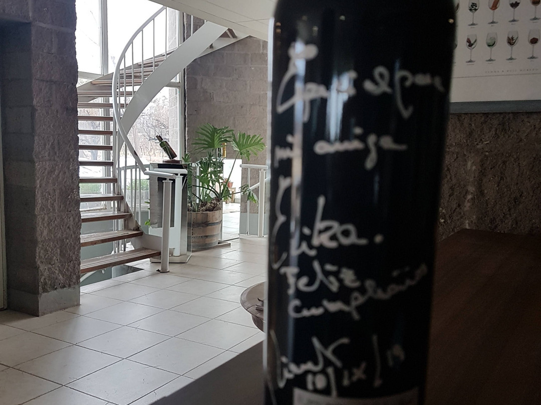 Dolium Winery景点图片